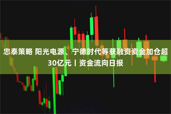 忠泰策略 阳光电源、宁德时代等获融资资金加仓超30亿元丨资金流向日报