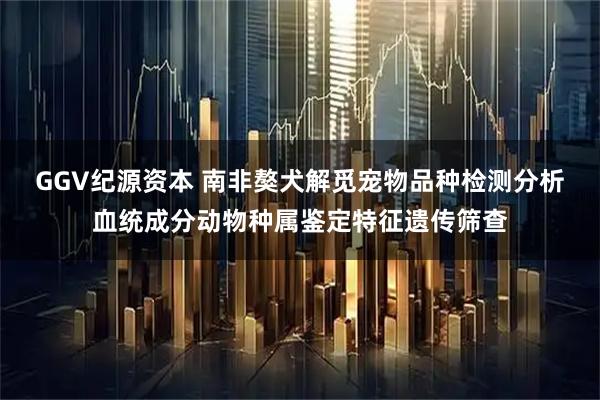 GGV纪源资本 南非獒犬解觅宠物品种检测分析血统成分动物种属鉴定特征遗传筛查