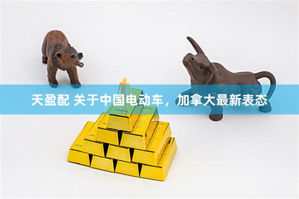 天盈配 关于中国电动车，加拿大最新表态