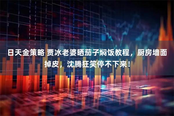 日天金策略 贾冰老婆晒茄子焖饭教程，厨房墙面掉皮，沈腾狂笑停不下来！