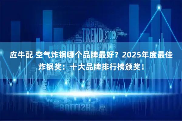 应牛配 空气炸锅哪个品牌最好？2025年度最佳炸锅奖：十大品牌排行榜颁奖！