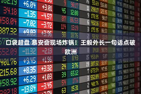 口袋超盘 慕安会现场炸锅！王毅外长一句话点破欧洲
