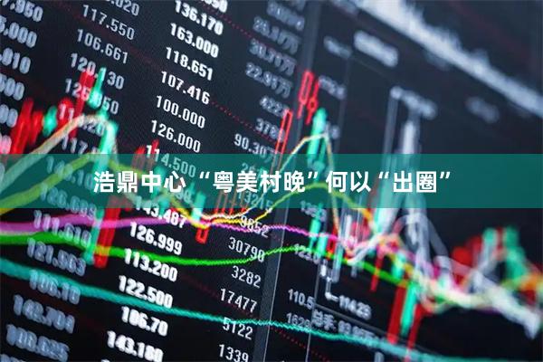 浩鼎中心 “粤美村晚”何以“出圈”