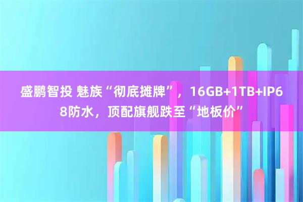 盛鹏智投 魅族“彻底摊牌”，16GB+1TB+IP68防水，顶配旗舰跌至“地板价”